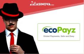 Check ecoPayz account